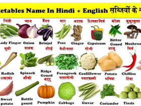 Vegetables Name in Hindi and English