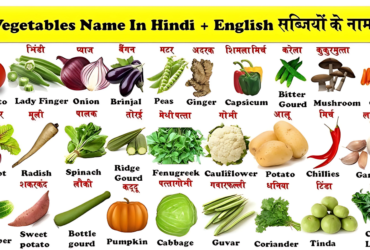 Vegetables Name in Hindi and English