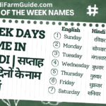 7 Days of the Week Names