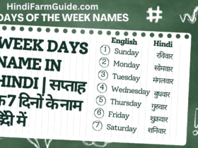 7 Days of the Week Names