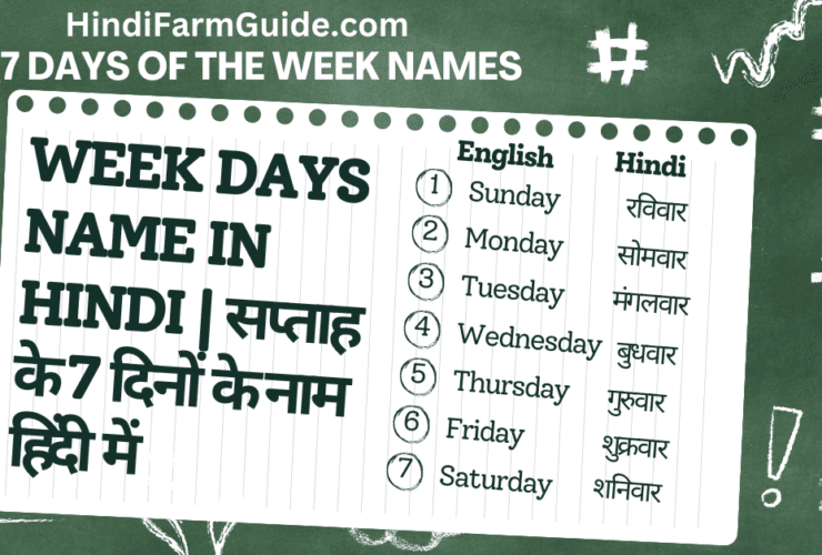 7 Days of the Week Names