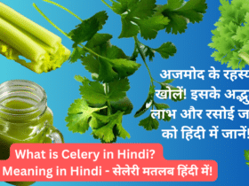 What is Celery in Hindi - Celery Meaning in Hindi