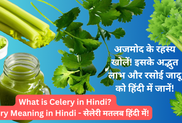 What is Celery in Hindi - Celery Meaning in Hindi