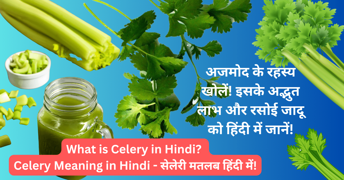 What is Celery in Hindi - Celery Meaning in Hindi